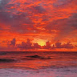 Meet your Posher, Lucy